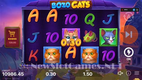 Bozo Cats NetBet